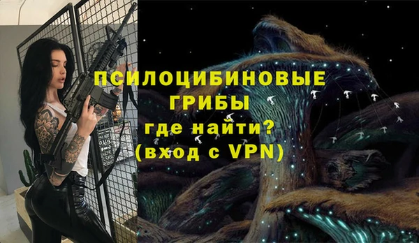 крисы Горнозаводск