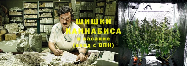 крисы Горнозаводск