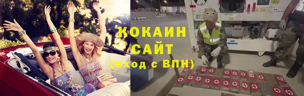 2c-b Горно-Алтайск