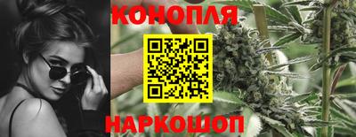 гашик Жуковский