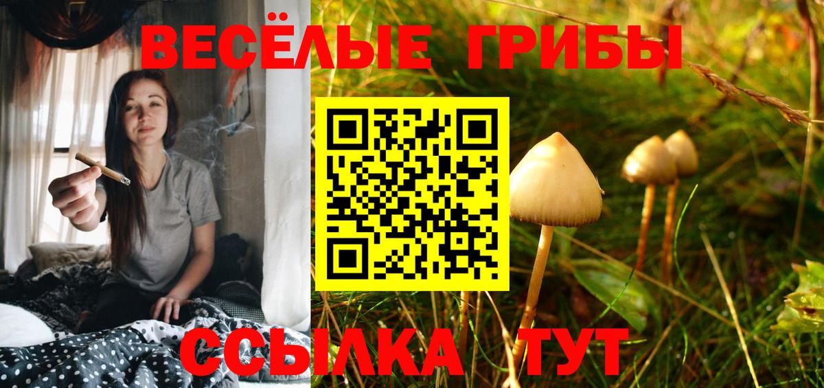Псилоцибиновые грибы Psilocybe  Вход с VPN  Можга 