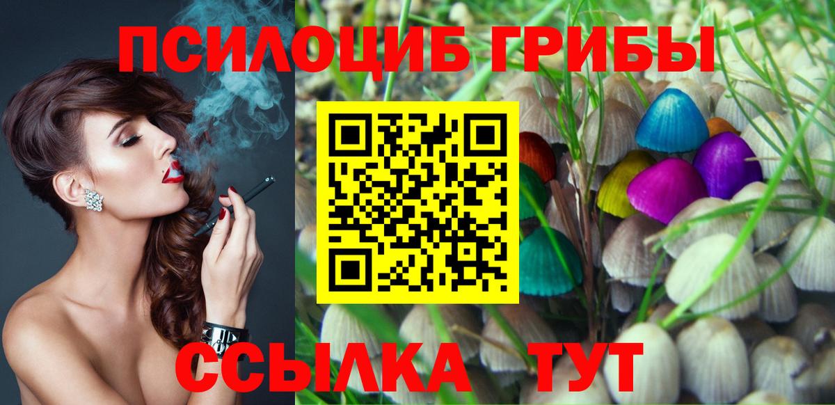 Галлюциногенные грибы мицелий Можга